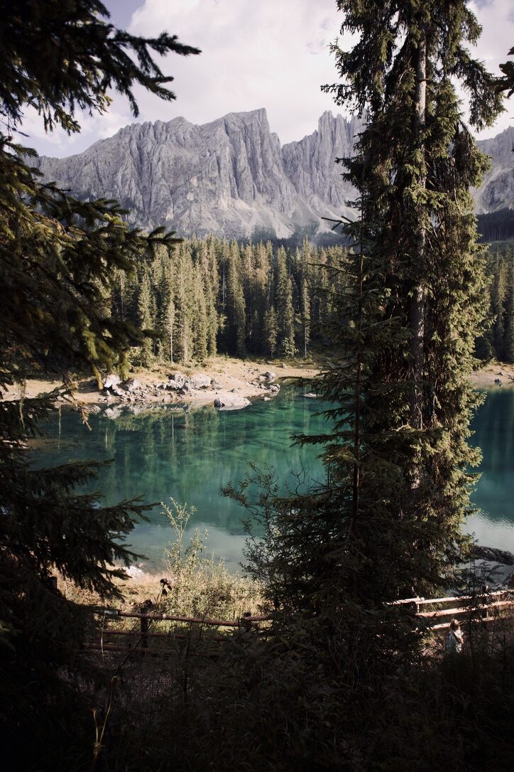 Photo portfolio 1